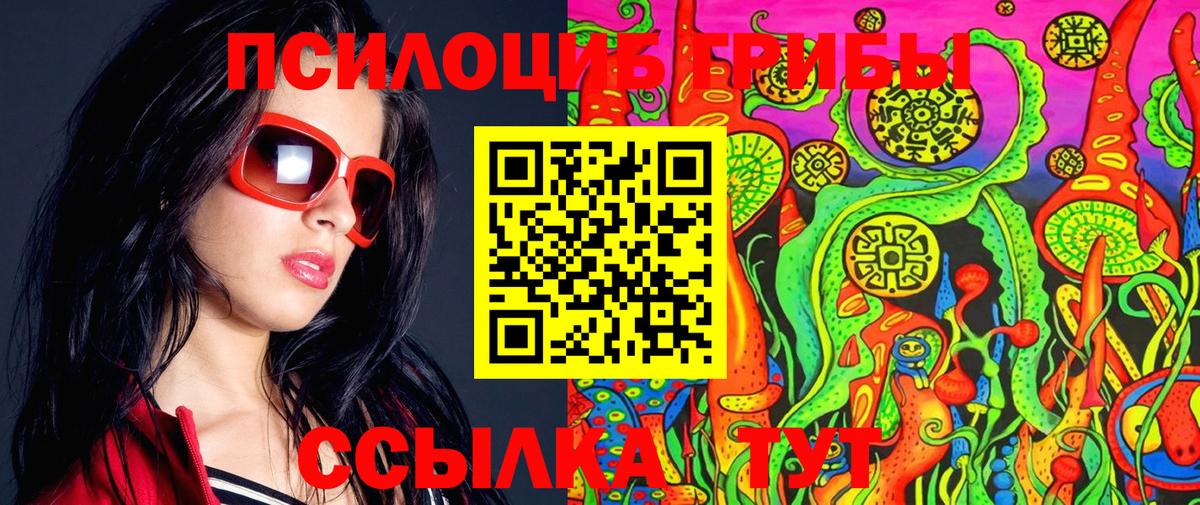 Губкинский  купить наркотики цена  Вход с VPN  Псилоцибиновые грибы Psilocybe  Псилоцибиновые грибы MAGIC MUSHROOMS 